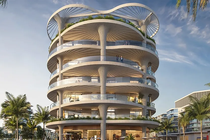 Mamsha Palm – gallery image 2
