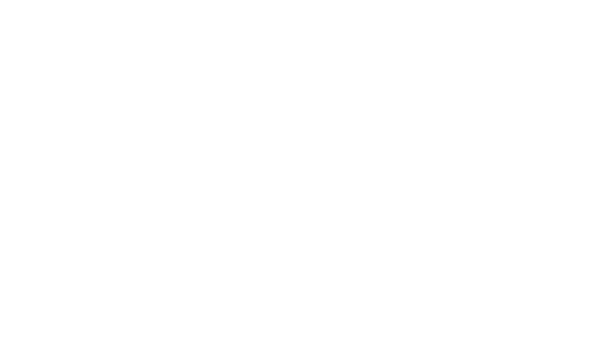 Top Logo